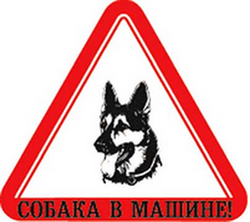 наклейка "Собака в машине (овчарка)" наружная, 17х19 см