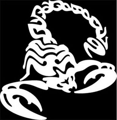 наклейка (вырезанная) "Скорпион" рисунок №3, наружная, (цвет белый), 20х20 см